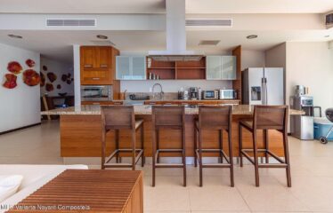 2485 Blvd. Fco. Medina Ascencio T1 A-11, Peninsula