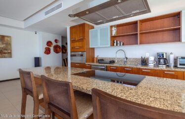 2485 Blvd. Fco. Medina Ascencio T1 A-11, Peninsula