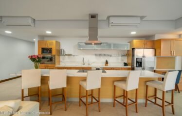 2485 Francisco Medina Ascencio 3-20A, Peninsula Vallarta